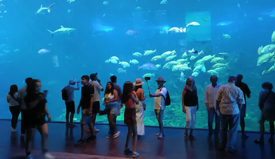 Visitantes frente a la Ventana Oceánica