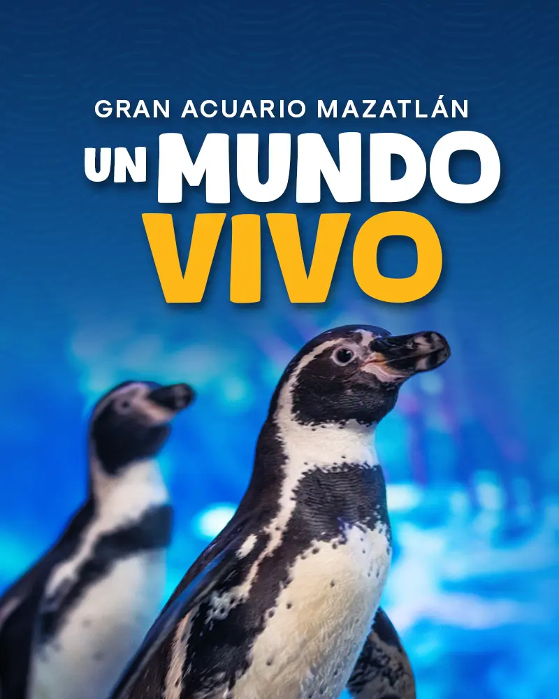 Banner promocional del Gran Acuario Mazatlán