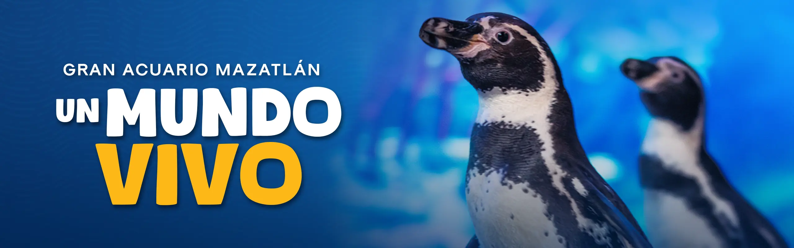 Banner promocional del Gran Acuario Mazatlán