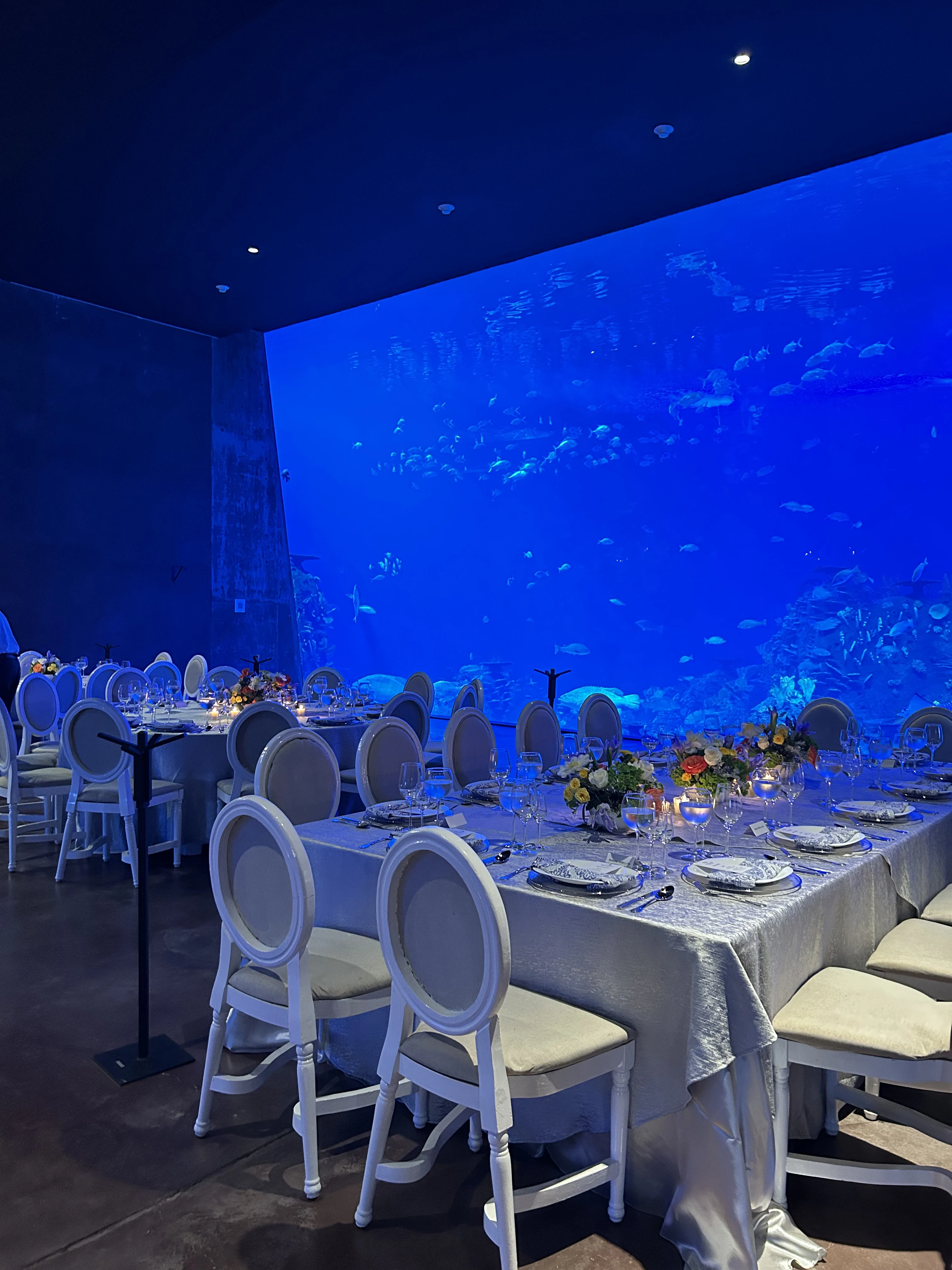 Eventos en el Gran Acuario Mazatlán