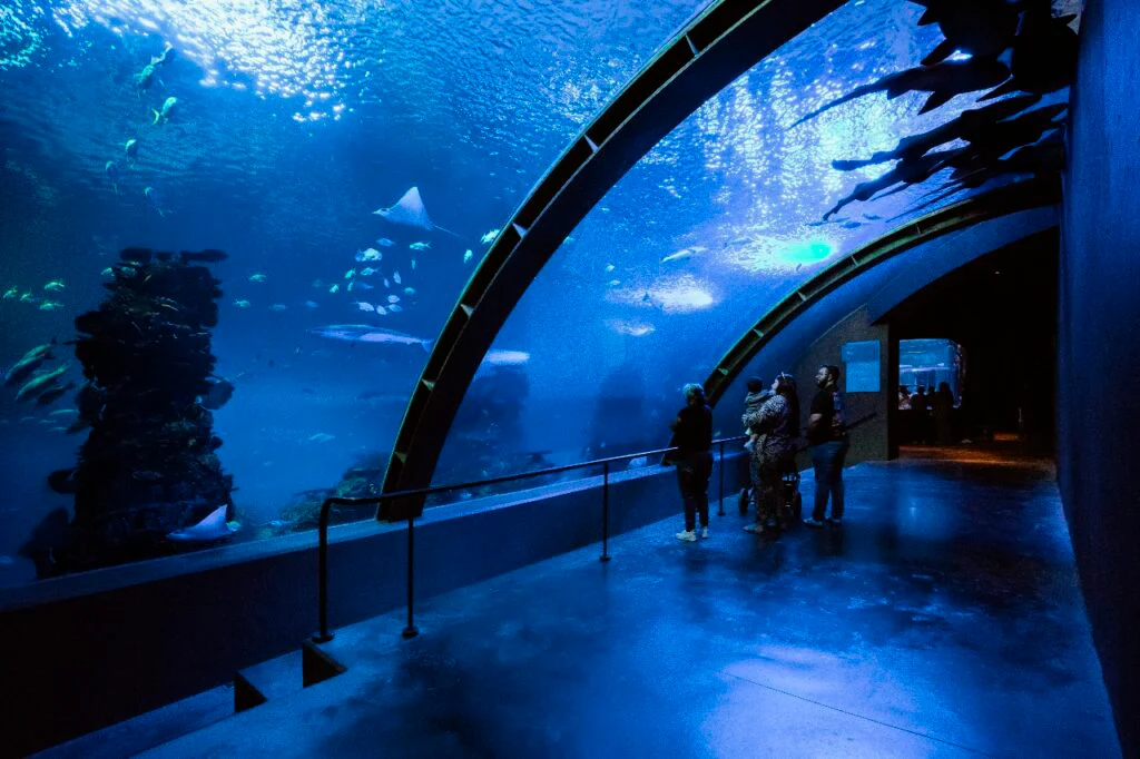 Túnel Oceánico