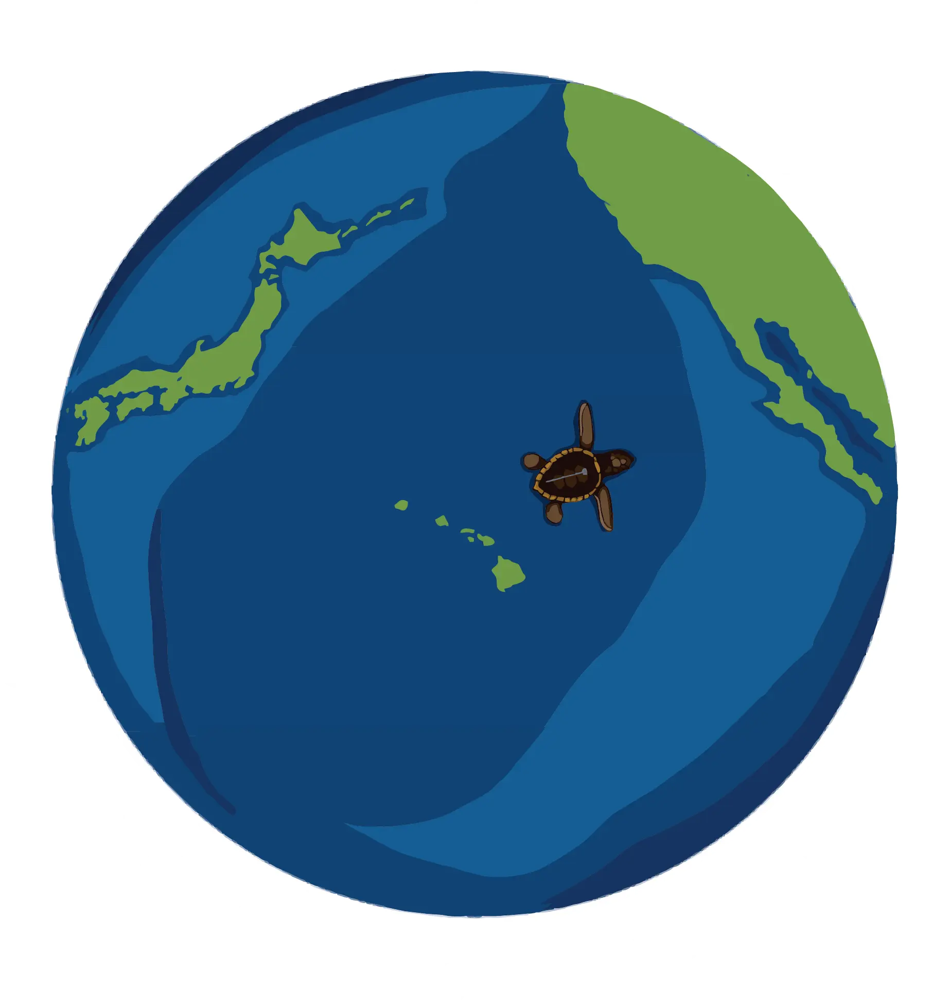 Sea Turtle Research Experiment on the Thermal Corridor Hypothesis